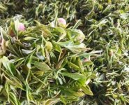 臨沂特產(chǎn)送人必買清單？